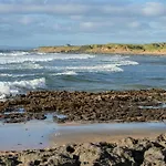 Dolphin Watch * Fanore