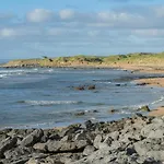 Dolphin Watch * Fanore