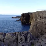 Dolphin Watch *