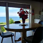Dolphin Watch Fanore