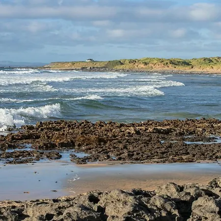 Dolphin Watch * Fanore