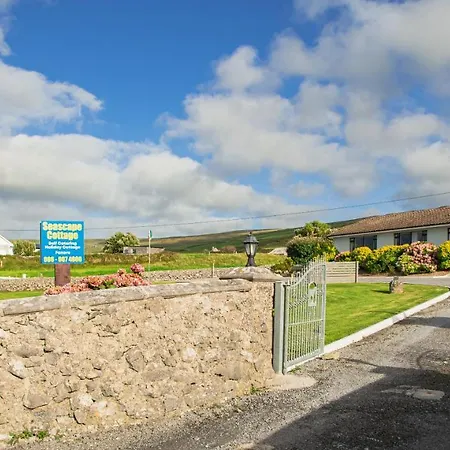 Dolphin Watch * Fanore