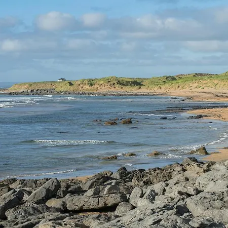 Dolphin Watch * Fanore