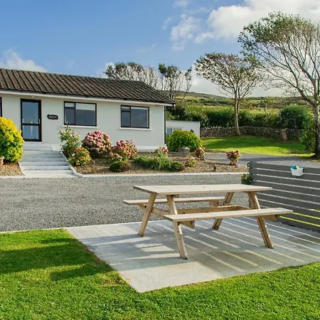 Dolphin Watch Fanore