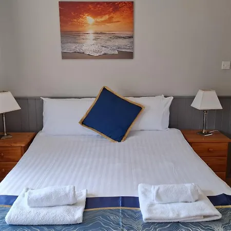 Dolphin Watch * Fanore