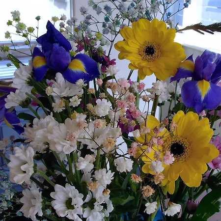 Dolphin Watch Дом отдыха Fanore