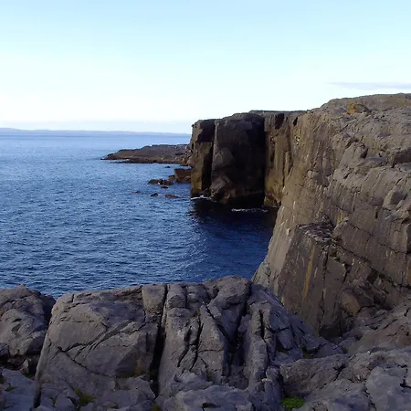 Dolphin Watch Fanore