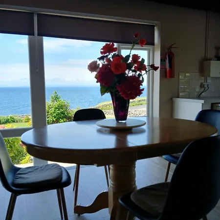 Dolphin Watch Fanore