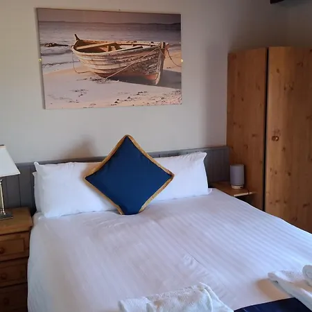 Dolphin Watch * Fanore