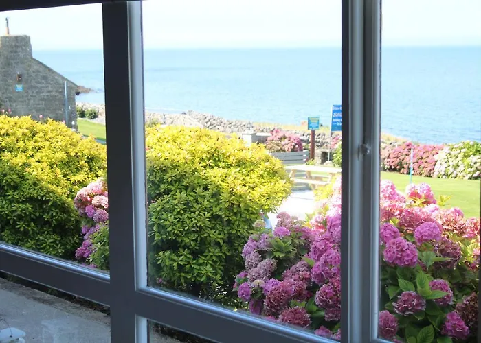 Dolphin Watch 度假居 Fanore