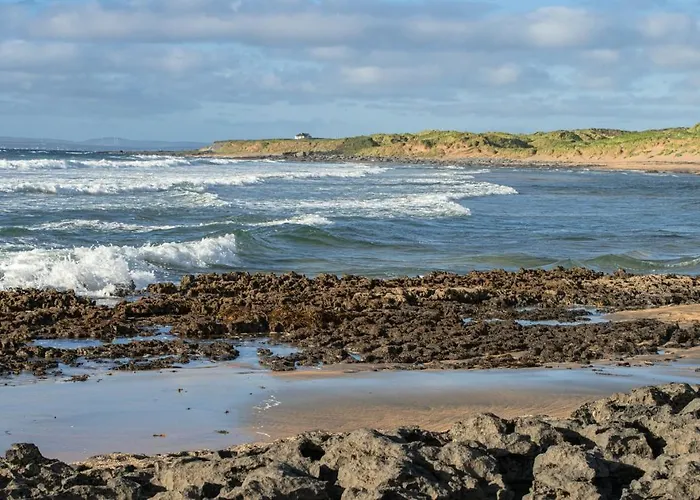 Dolphin Watch * Fanore