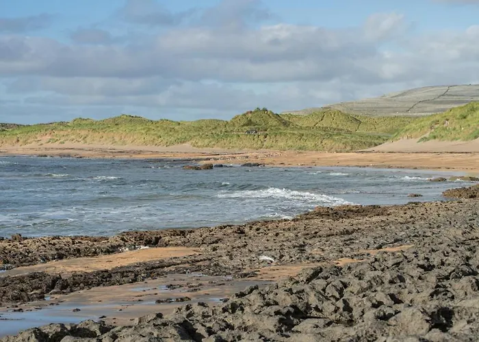 Dolphin Watch 度假居 *