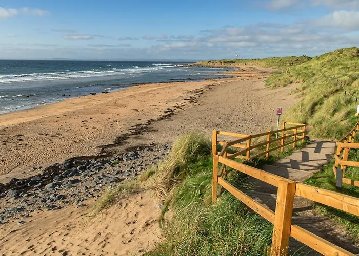 Dolphin Watch Дом отдыха *