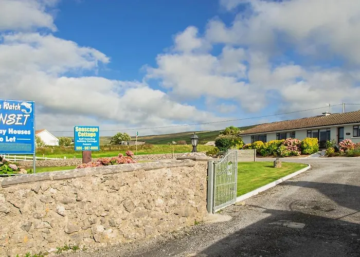 Dolphin Watch * Fanore