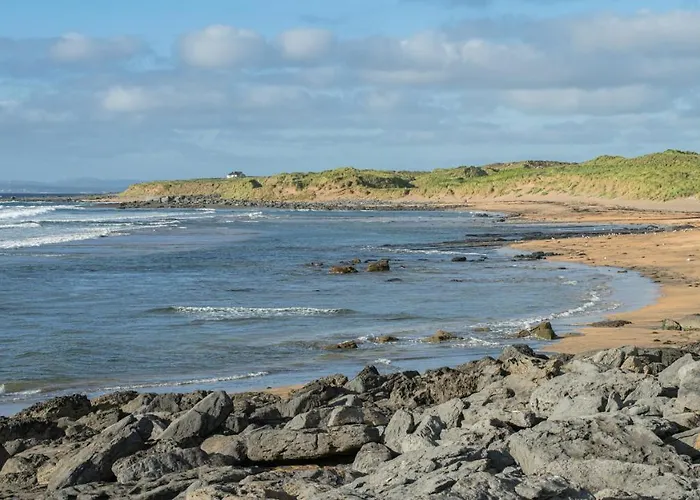 Dolphin Watch * Fanore