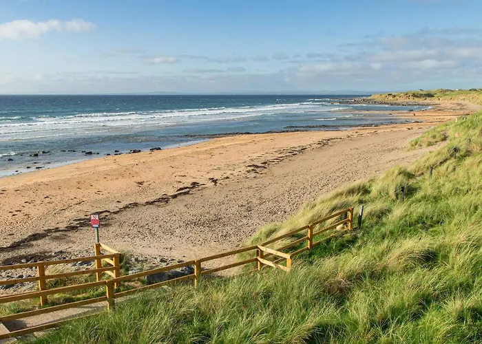 度假居 Dolphin Watch *