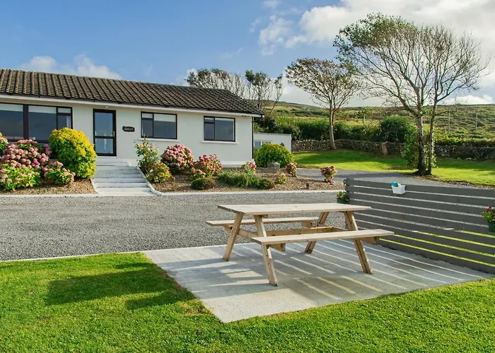 Dolphin Watch Fanore