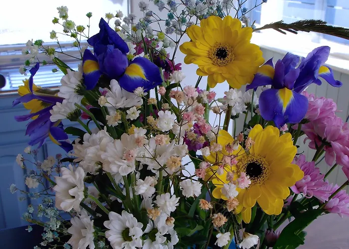 Dolphin Watch Vakantiehuis Fanore