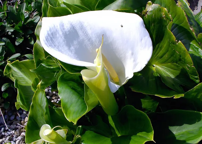 度假居 Dolphin Watch Fanore