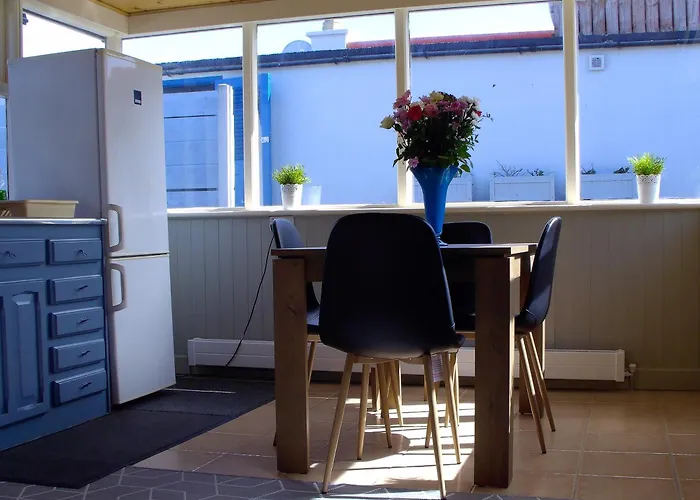 Dolphin Watch * Fanore