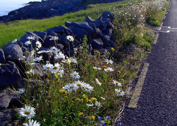 Dolphin Watch Vakantiehuis