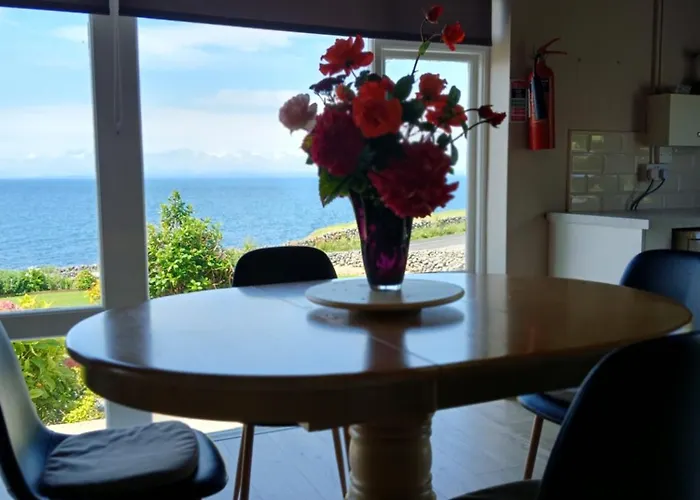 Dolphin Watch Fanore