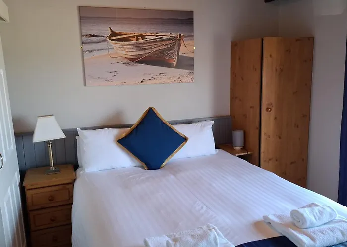 Dolphin Watch * Fanore