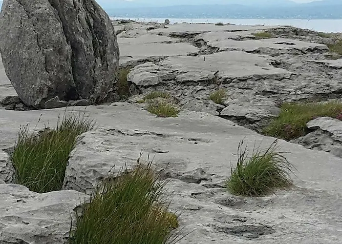 Dolphin Watch Vakantiehuis Fanore