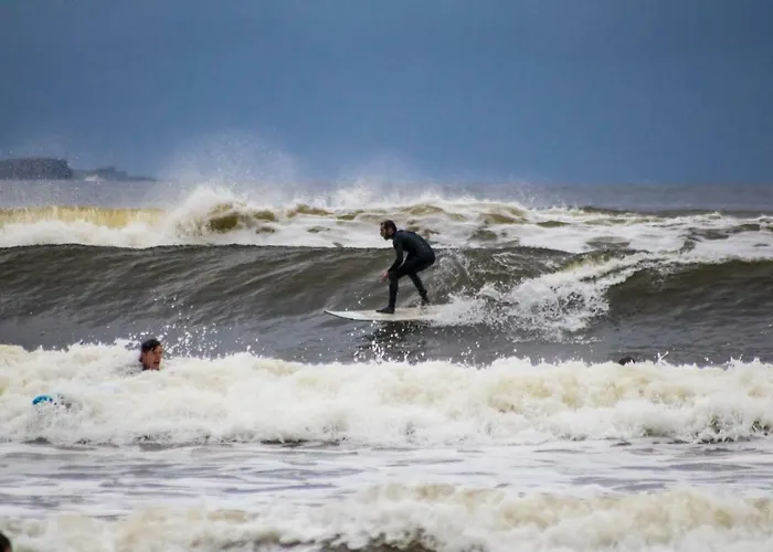 Vakantiehuis Dolphin Watch Fanore